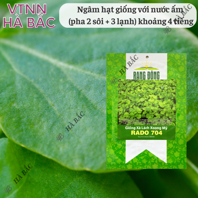 Hạt giống Xà Lách Xoong Rado 704 (1gram~1500 hạt) giàu dinh dưỡng, chịu nhiệt tốt, trồng quanh năm