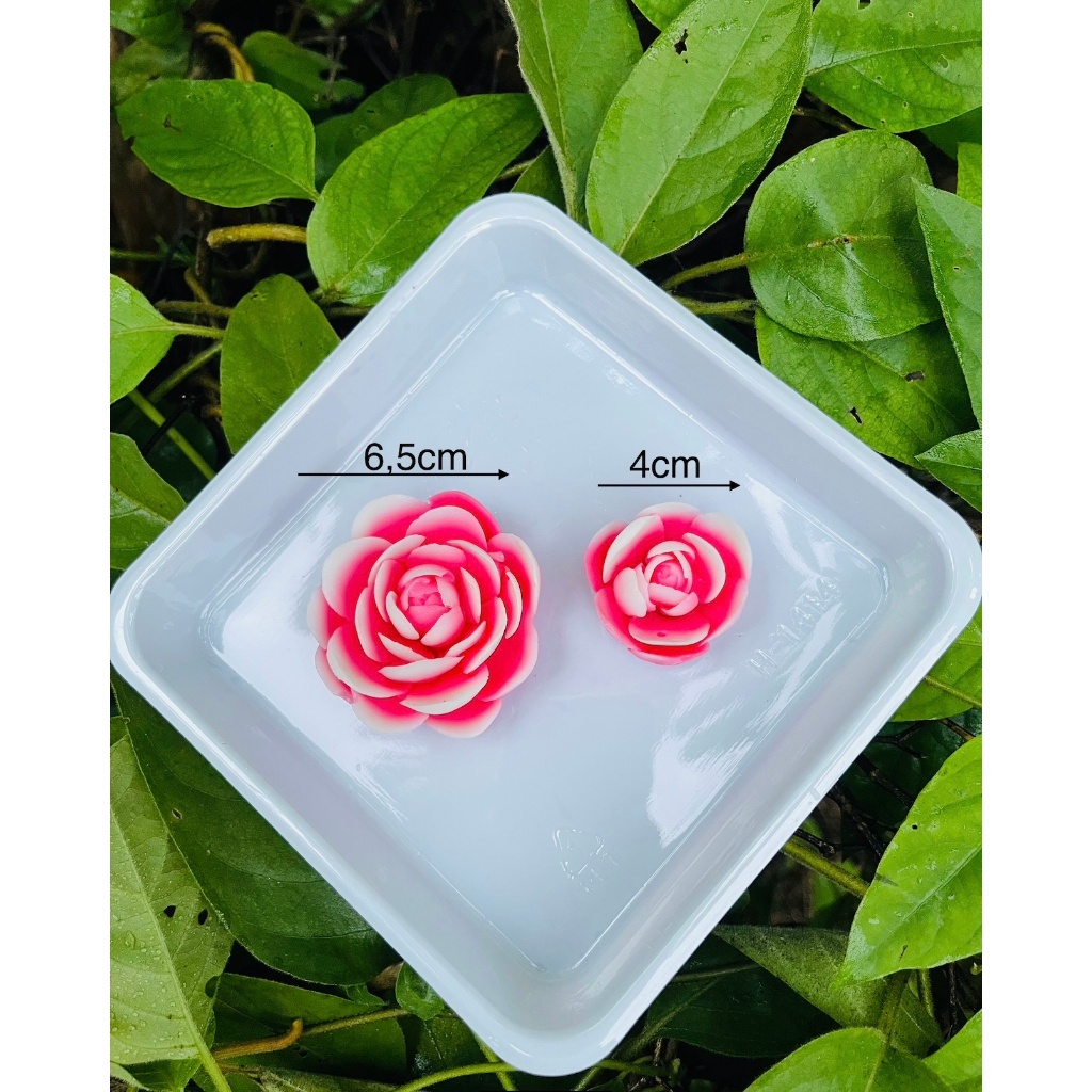 Set 2 hoa V83-V84