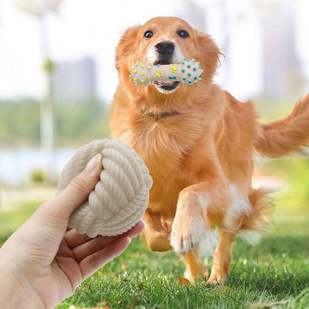 Xương Đồ Chơi Cho Chó Gặm Chóa Cún Con Corgi Poodle Béc Bỉ Mèo Sạch Răng Thơm Miệng Doggyman Vegebones Orgo Cục Lớn