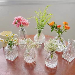 Bình cắm hoa thủy tinh mini phong cách hiện đại decor nhà cửa