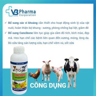 CANCIBONE  Vb Pharma cung cấp vi khoáng chất canxi magie cho vật nuôi gia súc gia cầm trắc xương