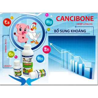 CANCIBONE  Vb Pharma cung cấp vi khoáng chất canxi magie cho vật nuôi gia súc gia cầm trắc xương