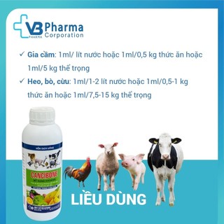 CANCIBONE  Vb Pharma cung cấp vi khoáng chất canxi magie cho vật nuôi gia súc gia cầm trắc xương