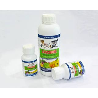 CANCIBONE  Vb Pharma cung cấp vi khoáng chất canxi magie cho vật nuôi gia súc gia cầm trắc xương