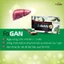 Viên Uống Cà Gai Leo Fogan Giải Độc Gan Bảo Vệ Tăng Cường Chức Năng Gan N1