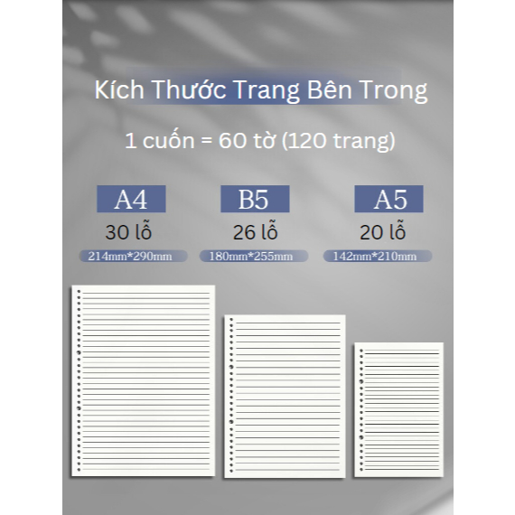 Giấy Sổ Còng B5 A5, Ruột Sổ Còng MESO 120 Trang Kẻ Ngang, Caro, Trống, Giấy Refill 80-100GSM