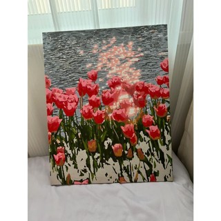 [TỔNG HỢP] Tranh Tô Màu Theo Số Hóa Madoca Mẫu Hoa Tulip Nhiều Kích Thước Để Lựa Chọn