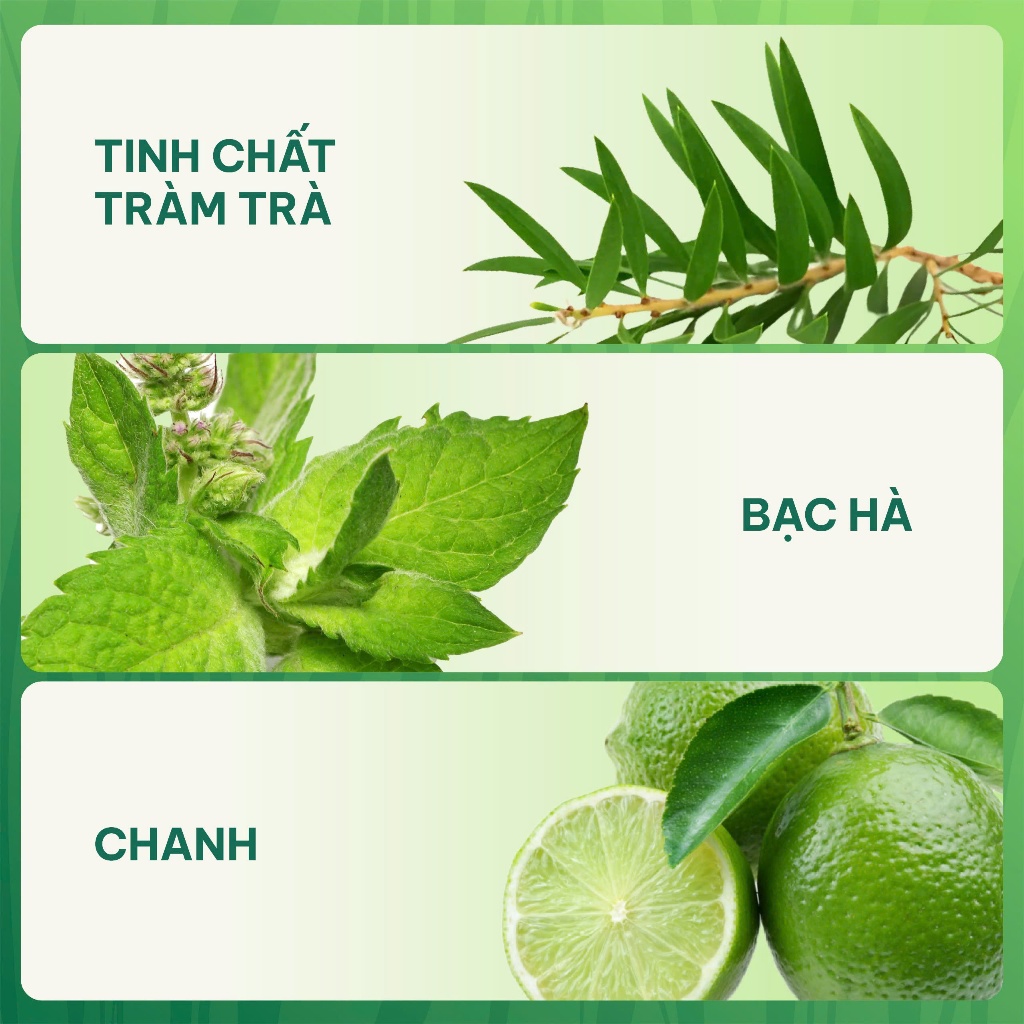 Xịt Hôi Chân GAU Lưu hương Thơm mát - Khử mùi Chân và Giày Cả ngày Tràm trà - Bạc hà - Chanh 100ml