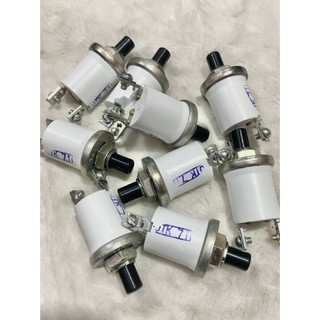 Công tắc còi Nga