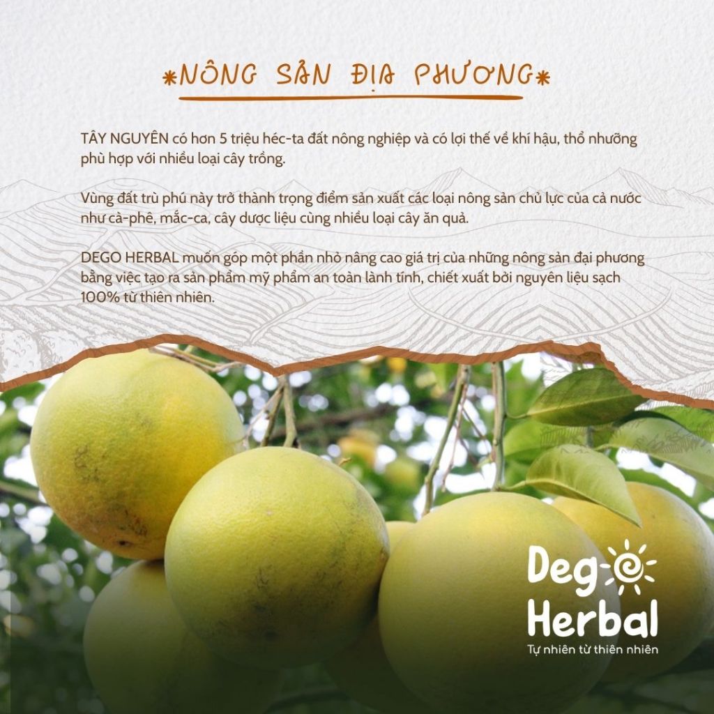 Ảnh Tẩy tế bào chết & sữa tắm DEGO - Dưỡng da sáng mịn, đều màu, cấp ẩm da 3