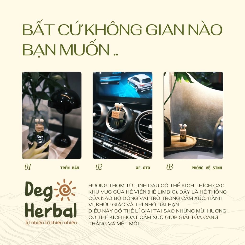 Ảnh Tinh Dầu Thiên Nhiên Cao Cấp CAM NGỌT Thơm Phòng, Thư Giãn Dego 10ml - Tặng kèm que khuếch tán 4