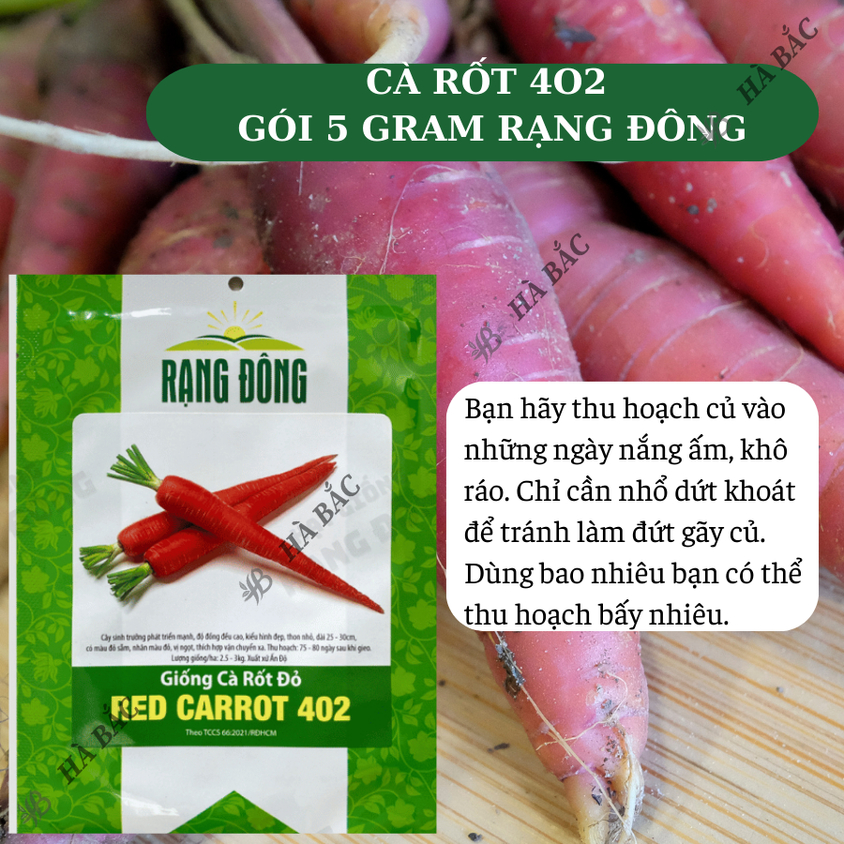 Hạt giống Cà Rốt Đỏ Red Carot 402 (5gram~1200 hạt) dễ chăm sóc, trồng quanh năm, củ to, dài