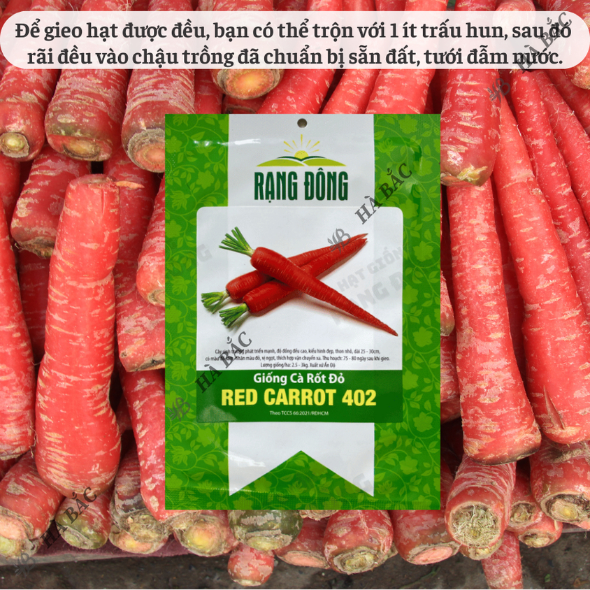 Hạt giống Cà Rốt Đỏ Red Carot 402 (5gram~1200 hạt) dễ chăm sóc, trồng quanh năm, củ to, dài