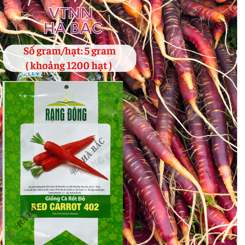 Hạt giống Cà Rốt Đỏ Red Carot 402 (5gram~1200 hạt) dễ chăm sóc, trồng quanh năm, củ to, dài