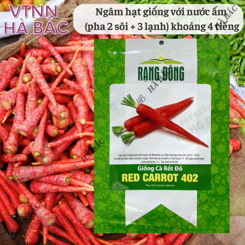 Hạt giống Cà Rốt Đỏ Red Carot 402 (5gram~1200 hạt) dễ chăm sóc, trồng quanh năm, củ to, dài