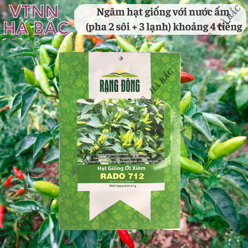 Hạt giống Ớt Xiêm 712 Rado (0,1gram~15 hạt) sai trái, cay thơm, dễ trồng