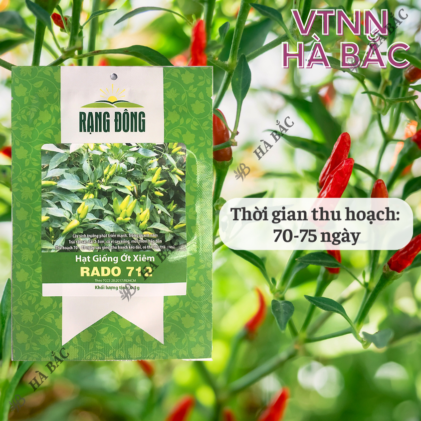 Hạt giống Ớt Xiêm 712 Rado (0,1gram~15 hạt) sai trái, cay thơm, dễ trồng