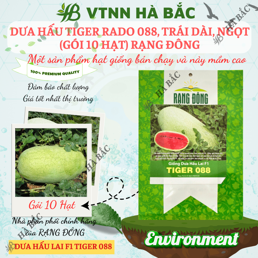 Hạt giống Dưa Hấu Lai F1 Tiger 088 (10 hạt) trái to chắc, nặng 10-12 Kg, ruột đỏ, trồng quanh năm