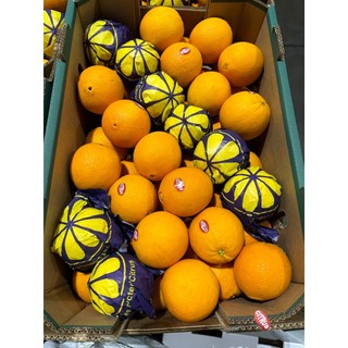 ( GiAO NHANH )  ( 20/10 ) Giỏ trái cây quà tặng - sinh Nhật - tân gia - khai trương - phúng điếu tặng kèm túi và in bảng
