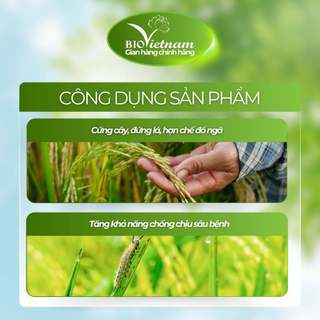 Phân bón hữu cơ BIO SIÊU CỨNG CÂY - ngắn lòng, cứng cây, hạn chế đổ ngã, kích rễ | BIO VIỆT NAM