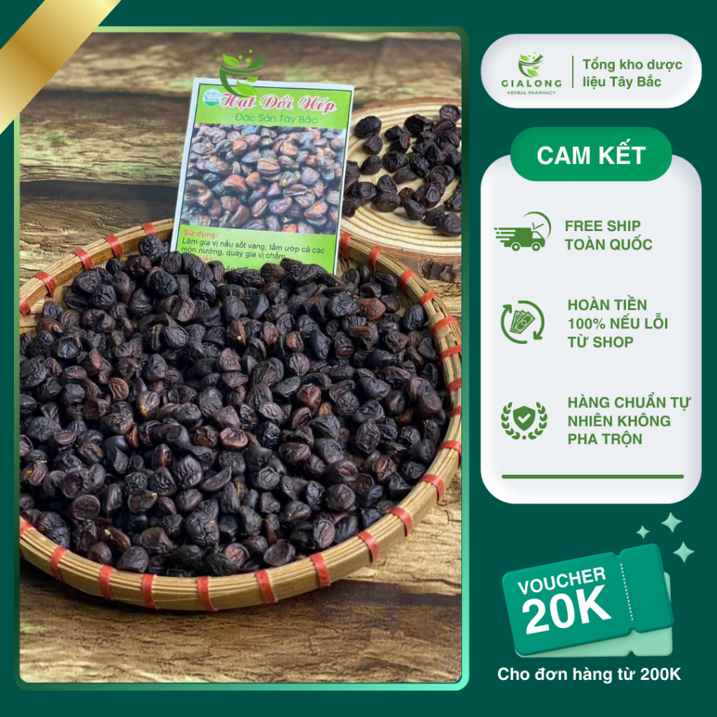 Hạt Dổi Nếp Cổ Thụ Lai Châu Hàng Loại 1 10g/20g/50g/100g