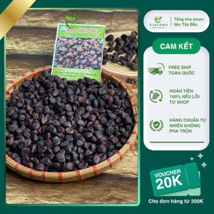 Hạt Dổi Nếp Cổ Thụ Lai Châu Hàng Loại 1 10g/20g/50g/100g