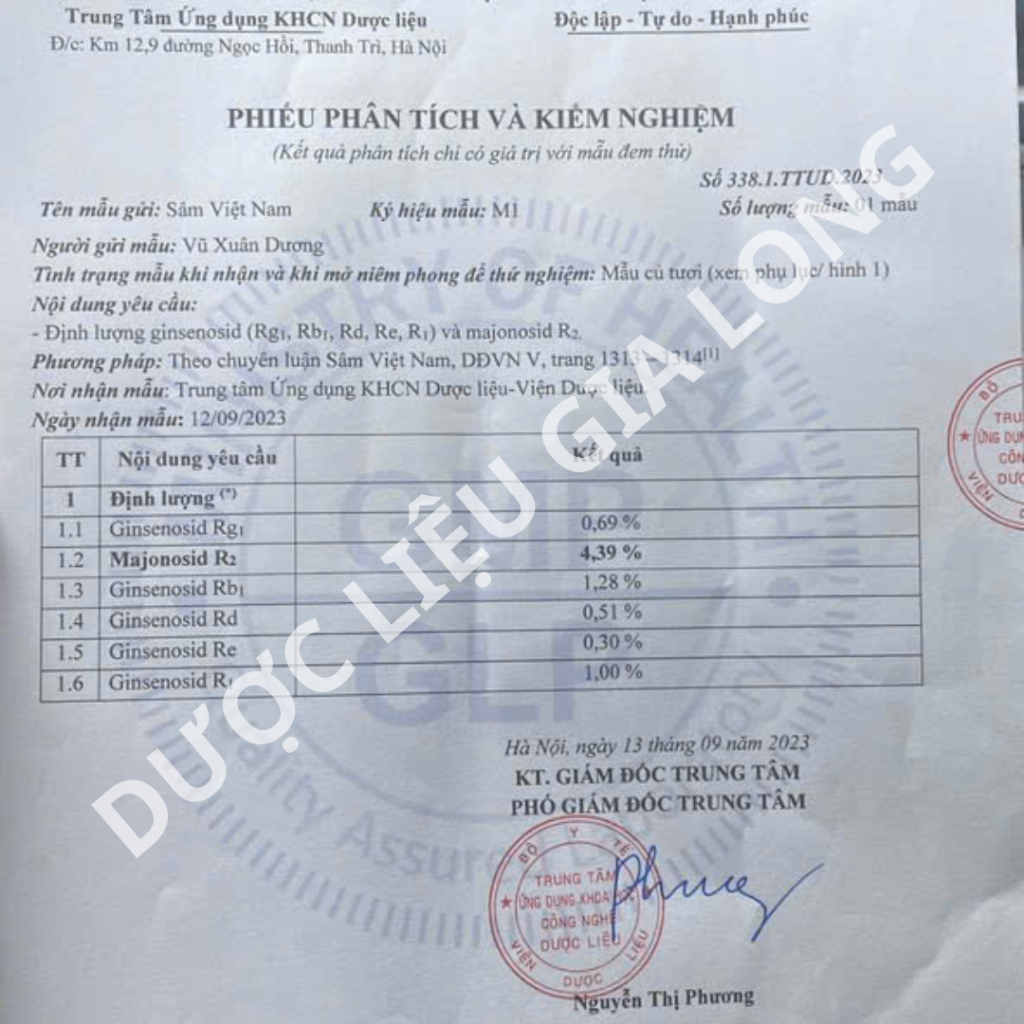 1kg Sâm Lai Châu (Sâm Ngọc Linh Lai Châu) hàng Vùi Rừng già lâu năm được kiểm định