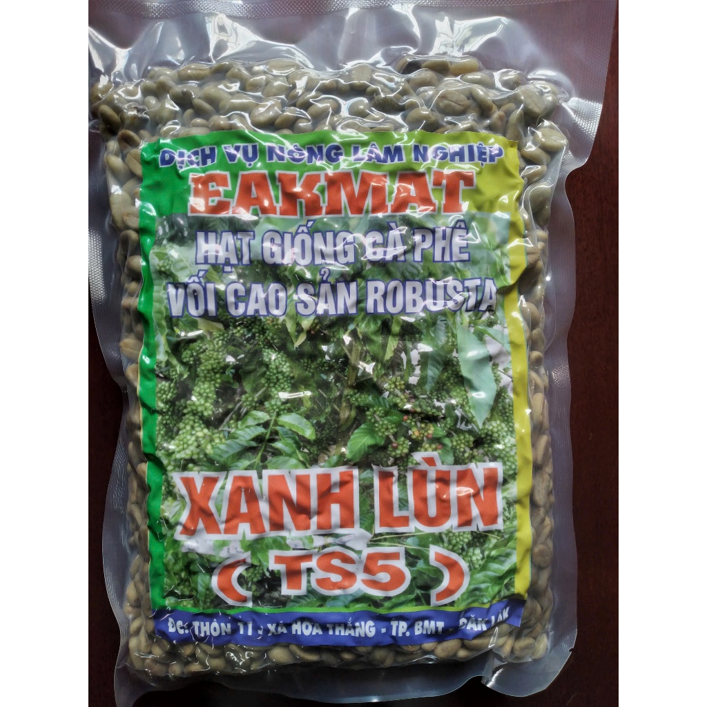 Cận cảnh trái Xanh Lùn TS5