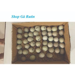 Cám gà Rutin đẻ De Heus 7790 dạng bột túi Zip 1kg cho gà Rutin, chim cút đẻ - Giúp Gà Rutin đẻ sai trứng tỉ lệ 85%