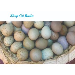 Cám gà Rutin đẻ De Heus 7790 dạng bột túi Zip 1kg cho gà Rutin, chim cút đẻ - Giúp Gà Rutin đẻ sai trứng tỉ lệ 85%