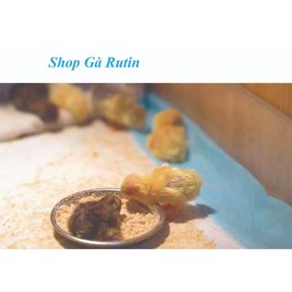 Cám gà Rutin con, chim cút con 7780 De heus 23 độ đạm cút nhanh lớn, ít bệnh, ít hao đàn