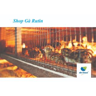 Cám gà Rutin con, chim cút con 7780 De heus 23 độ đạm cút nhanh lớn, ít bệnh, ít hao đàn
