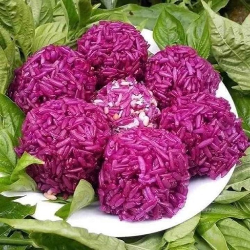 COM BO 4 Cây lá cẩm 2 tím, 2 đỏ ( bầu đẹp) CANH NÔNG KVT