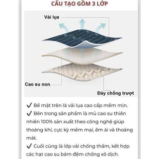 ❄️HÀNG NHẬP❄️Chiếu Điều Hòa Cao Su Non Tặng Kèm 2 Vỏ Gối Nằm, Vải Lyocell Thoáng Mát _Chăn Ga Sỉ