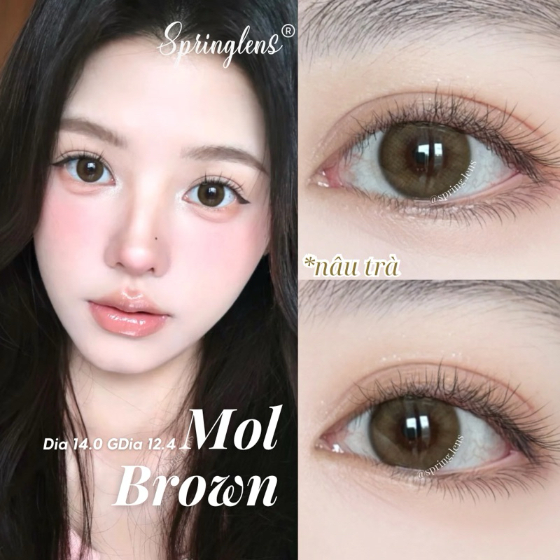 Kính áp tròng MOL BROWN (Molly) nâu trà không giãn tự nhiên 1 tháng | Spring Lens