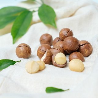 Hạt Macca nứt vỏ Đăk Lăk giàu dinh dưỡng thơm ngon 500gr