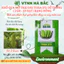 Hạt giống Khổ Qua Mỡ Trái Dài Rado 373 (2gram~10 hạt) chịu nhiệt tốt, trồng quanh năm, năng suất cao