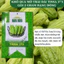 Hạt giống Khổ Qua Mỡ Trái Dài Rado 373 (2gram~10 hạt) chịu nhiệt tốt, trồng quanh năm, năng suất cao
