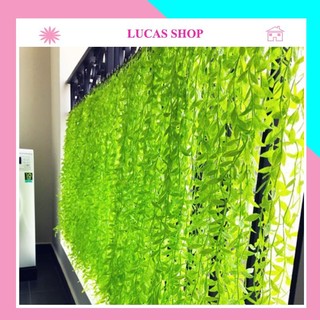 Dây lá giả - dây cúc tần giả (1m) cao cấp decor, trang trí nhà cửa, cửa tiệm, ban công...