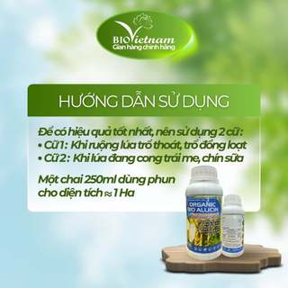 (MUA 10 TẶNG 1)Phân bón hữu cơ Organic BIO ALLICIN 250ml vô gạo liên tục, chắc hạt nặng ký, tăng suất gạo | BIO VIỆT NAM