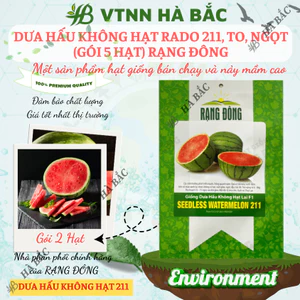 Hạt giống Dưa Hấu Không Hạt Lai F1 211 (5 hạt) trái to, ruột đỏ tươi, ngọt, trồng quanh năm