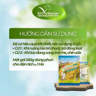 (MUA 10 TẶNG 1) Phân bón hữu cơ BIO SIÊU VÀO GẠO PLUS 250g vào gạo liên tục, chắc hạt | BIO VIỆT NAM