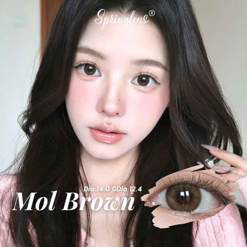 Kính áp tròng MOL BROWN (Molly) nâu trà không giãn tự nhiên 1 tháng | Spring Lens