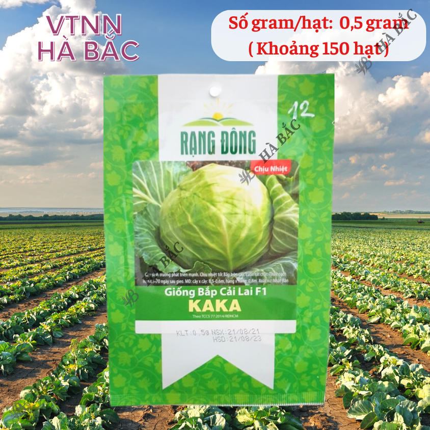 Hạt giống Bắp Cải Lai F1 Kaka (0,5gram~150 hạt) cây phát triển mạnh, trồng quanh năm, dễ chăm sóc