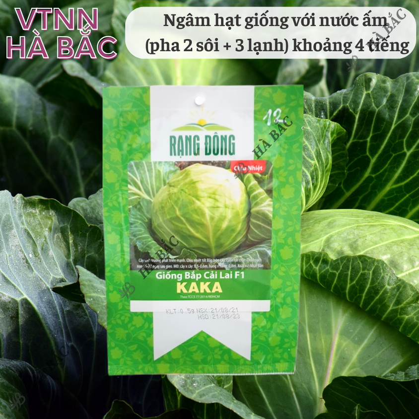Hạt giống Bắp Cải Lai F1 Kaka (0,5gram~150 hạt) cây phát triển mạnh, trồng quanh năm, dễ chăm sóc