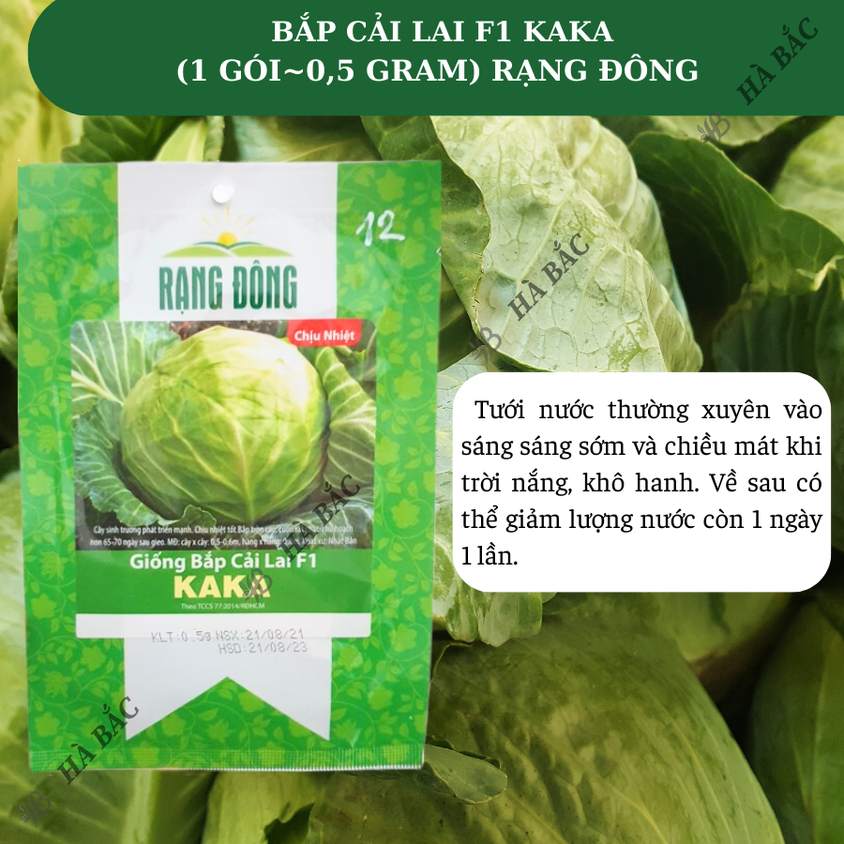 Hạt giống Bắp Cải Lai F1 Kaka (0,5gram~150 hạt) cây phát triển mạnh, trồng quanh năm, dễ chăm sóc