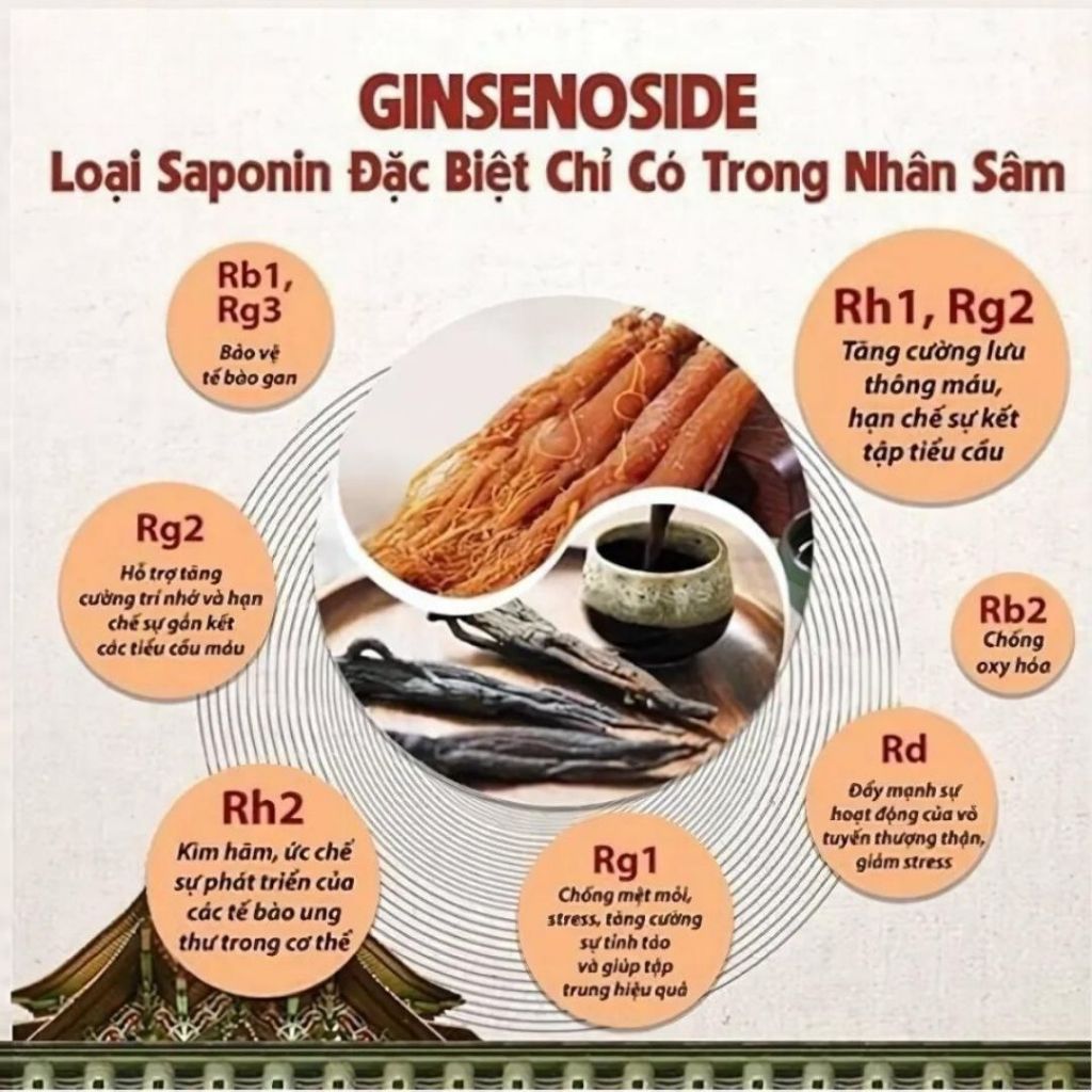 Ảnh Hồng Sâm Hữu Cơ Cải Thiện Sức Khỏe KJH Dạng Stick - Sâm Hàn Quốc  Dành Cho Người Trưởng Thành 4