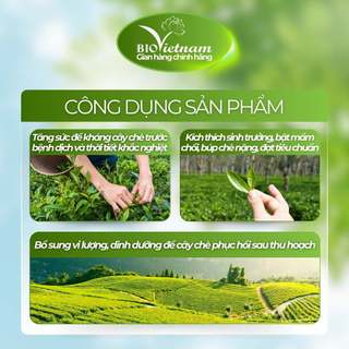(MUA 5 TẶNG 2) GA3 BO SỮA Bio Việt Nam 500ml - Siêu đánh thức chè đông tăng sản lượng, kích thích sinh trưởng, bật mầm