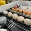Máy Ấp Trứng 108 Trứng Thùng ALu Viền Nhôm Bền Tạo Nhiệt Dây Cacbon Tiết Kiệm Điện