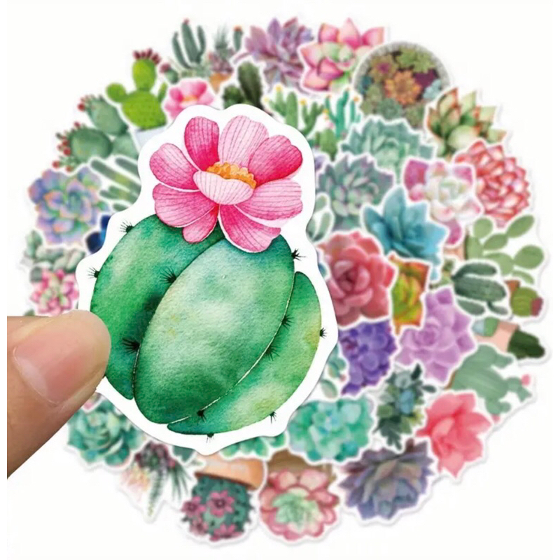 set 60 hình sticker sen đá, xương rồng nhỏ xinh bắt mắt  trang trí sổ tay note book laptop mũ bảo hiểm chống nước tốt